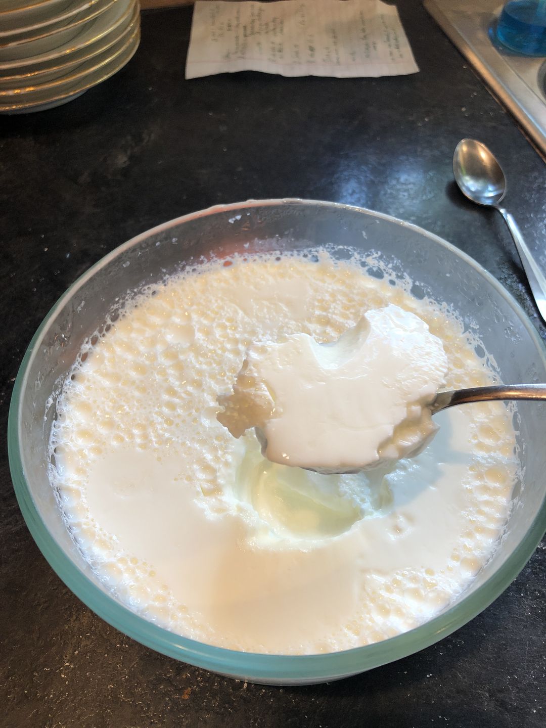 Customer photo review of Indian Style Yogurt (Dahi) Culture - YO-MIX 900 LYO 50 DCU