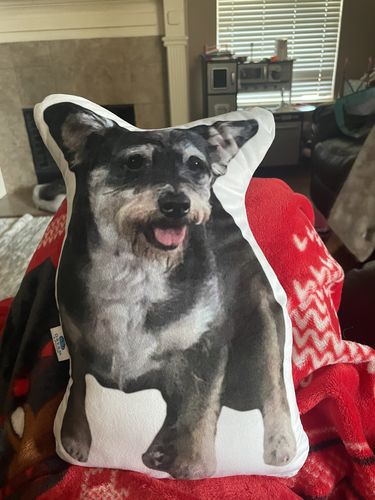 Customer photo review of Create A Custom Dog Pillow