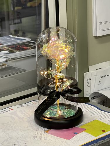 Customer photo review of Galaxy LED Rose Dome
