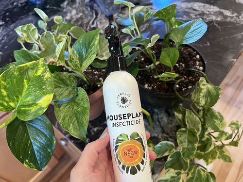 Customer photo review of Houseplant Insecticide w/ Neem
