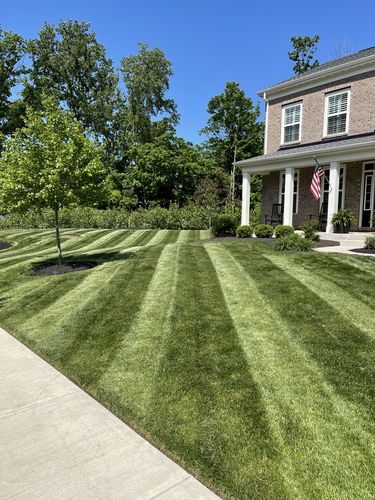 Customer photo review of GCI Turf Cool Blue Grass Seed