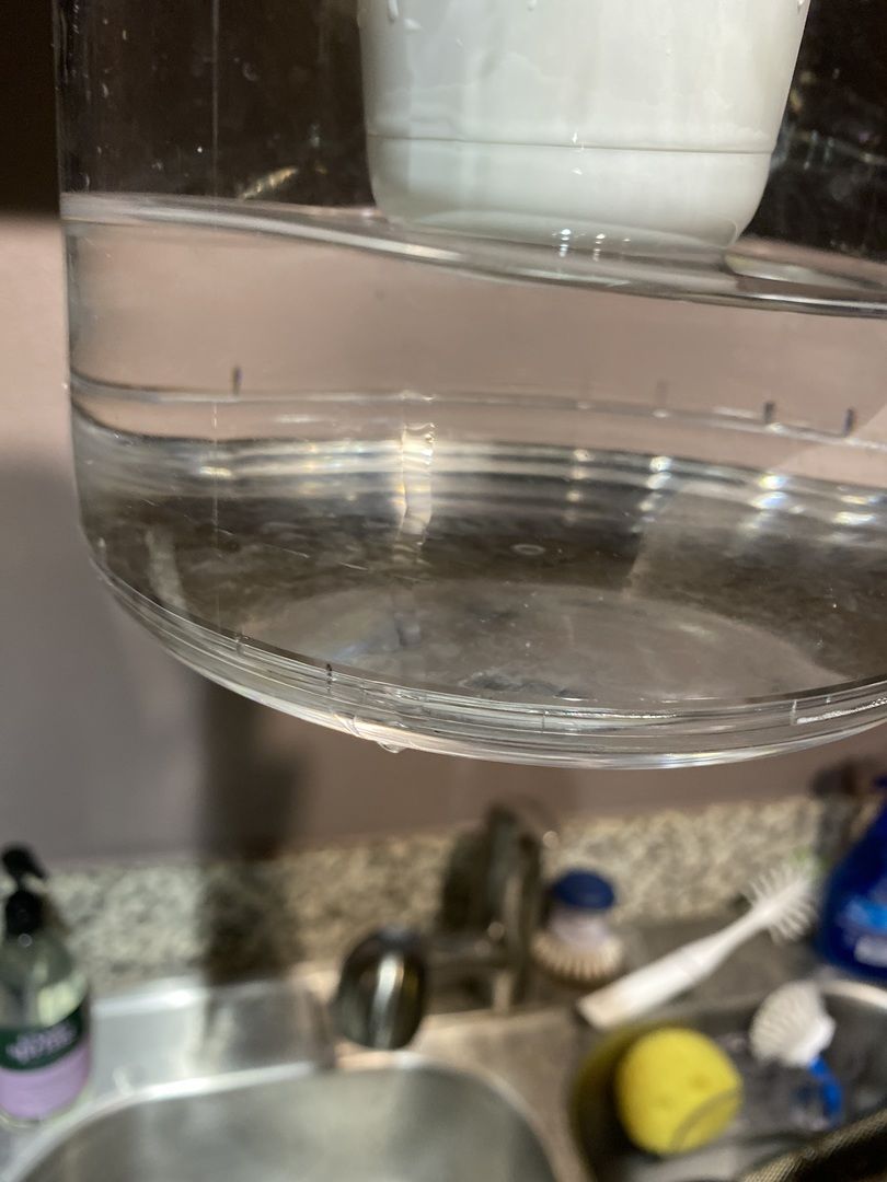 Customer photo review of LifeStraw Home 7-Cup