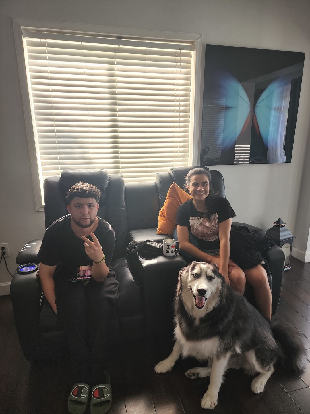 Customer photo review of Strong Paws Recovery Drops - 1000MG