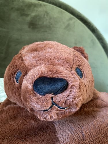 Customer photo review of SKOGGY BEAR