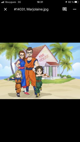 Customer photo review of Caricature cartoon dessinée à la main: Portrait Personnalisé DBZ