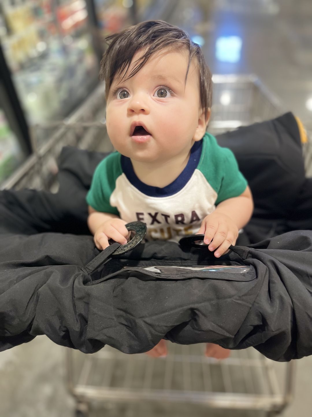 Customer photo review of Baby Shopping Cart Cover - Black Fabric