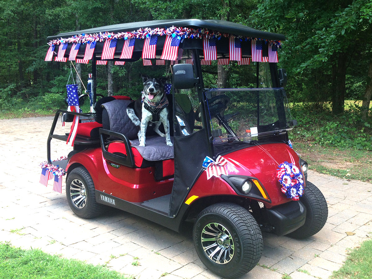 Customer photo review of Universal Back Buddy Golf Cart / Marine Lumbar Support Cushion