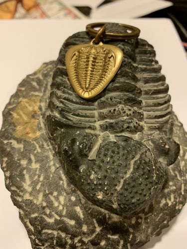 Customer photo review of Brass Trilobite Fossil Pendant