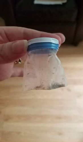Customer photo review of Licenator™ Elektrisk Lösskam