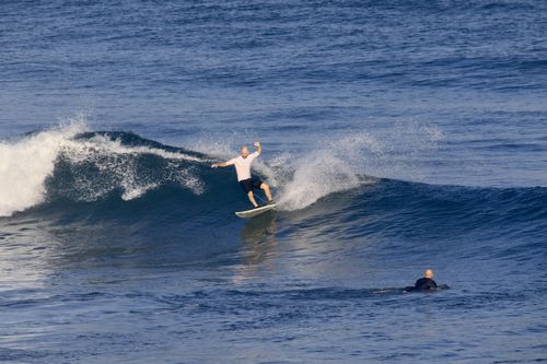 Customer photo review of Technics 50th Anniversary SL-1200MK7LPK (Matte Black) Direct Drive Turntable with FREE Oyaide d+ Turntable RCA cable