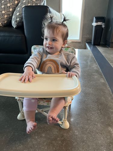 Customer photo review of Sailor baby chair v2