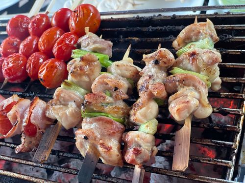 Customer photo review of Jealous Devil Chunx Lump (10 lbs)