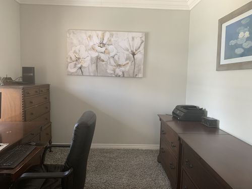 Customer photo review of 'Grey & Gold Flower' Framed Canvas (55" x 31")