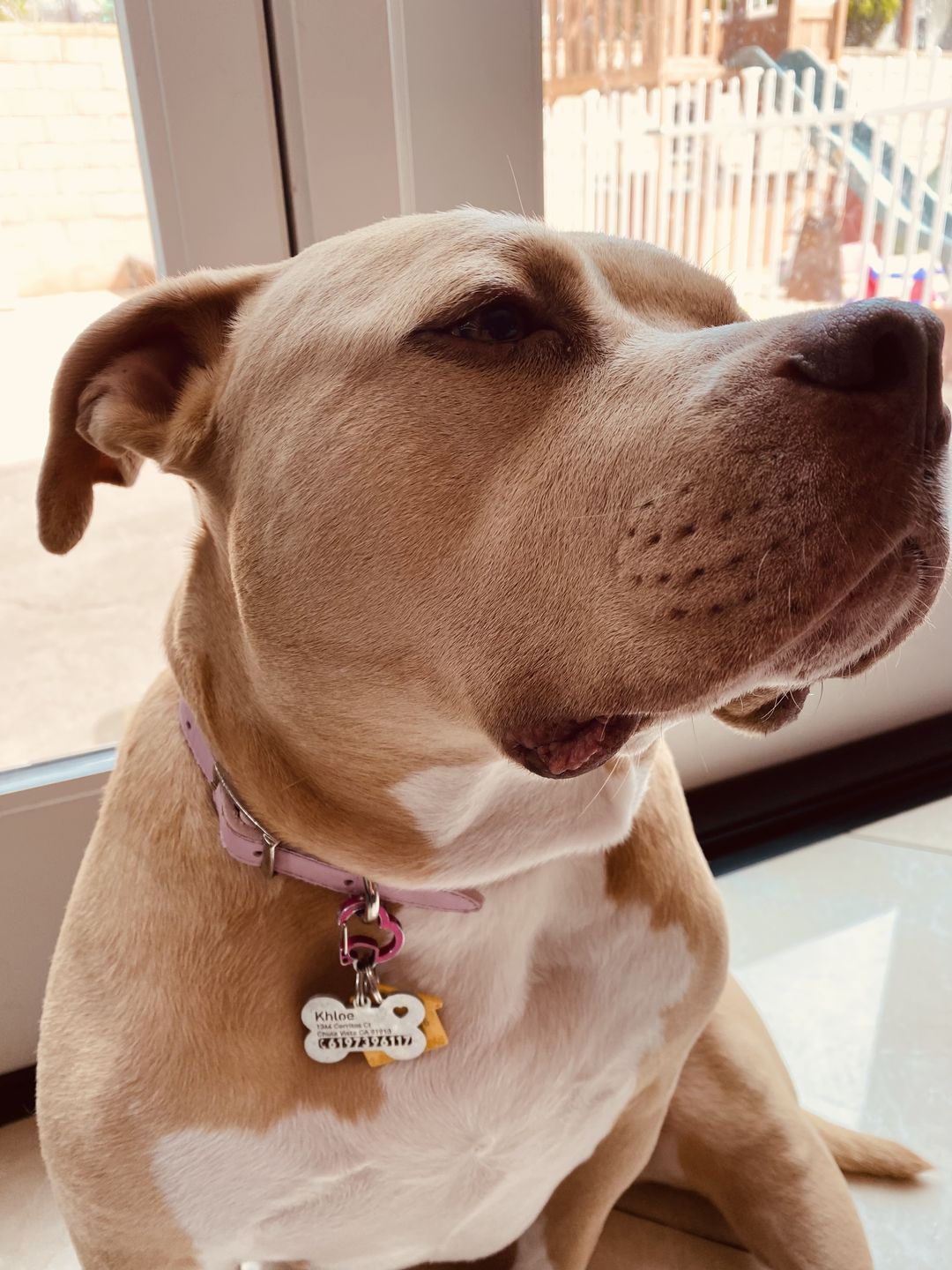 Customer photo review of Hollow-carved ID Tags