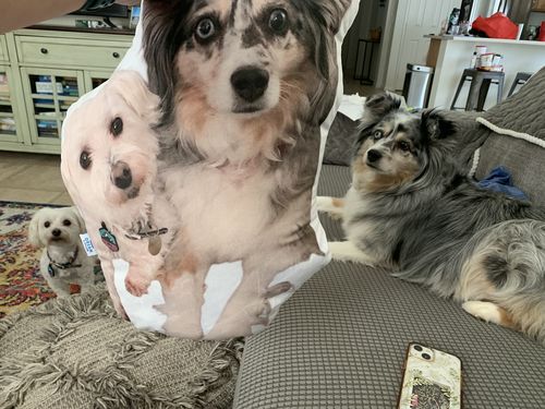 Customer photo review of Create A Custom Dog Pillow