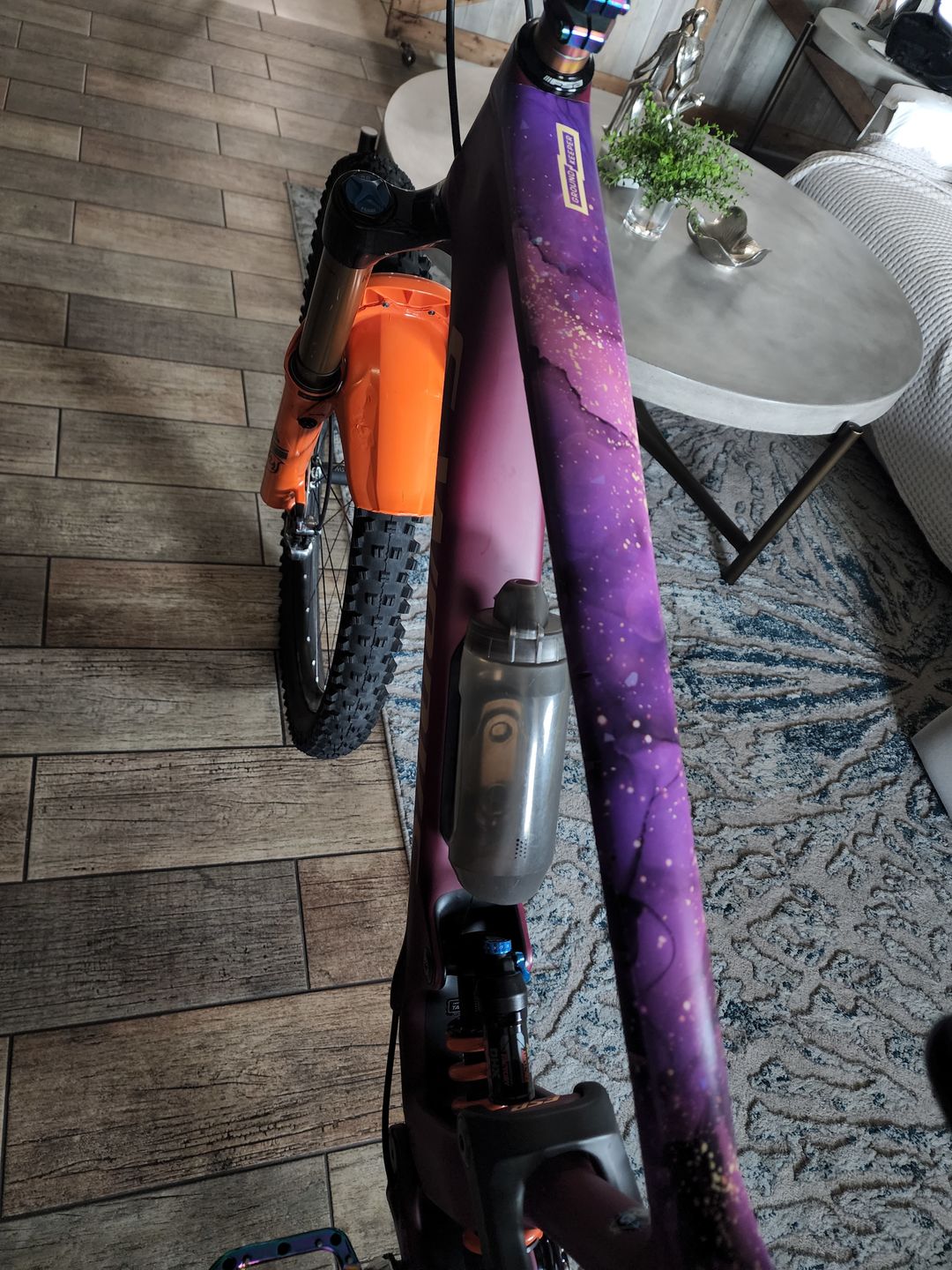Customer photo review of Euphoria Frame Keeper