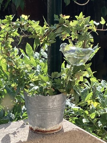 Customer photo review of Mon petit oiseau - Le Jardin de Mamie®
