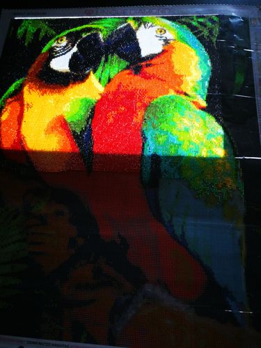 Customer photo review of 5D Diamond Painting Zwei Papageien