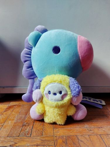 Customer photo review of [Official] BT21 BABY SITTING DOLL "MY LITTLE BUDDY" COLLECTION
