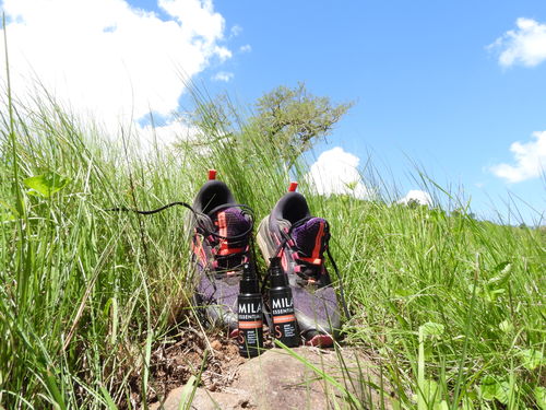 Customer photo review of Breathe Roller Blend