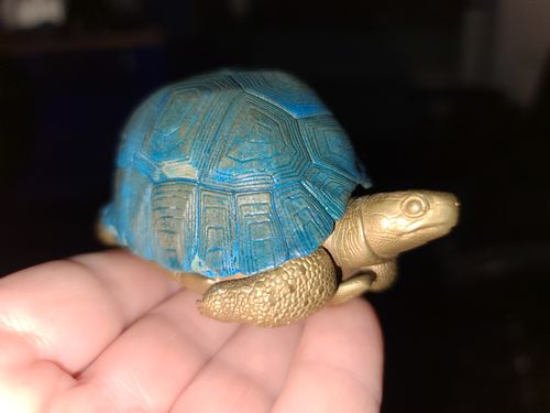 Customer photo review of Bronze Tortoise Box