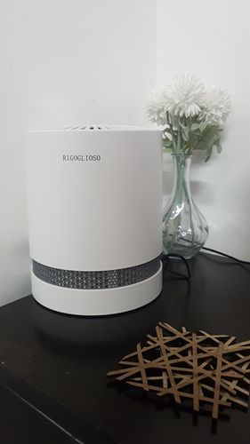 Customer photo review of Air Purifier For Home True HEPA Filters Compact Desktop Purifiers Filtration with Night Light Air Cleaner GL2109