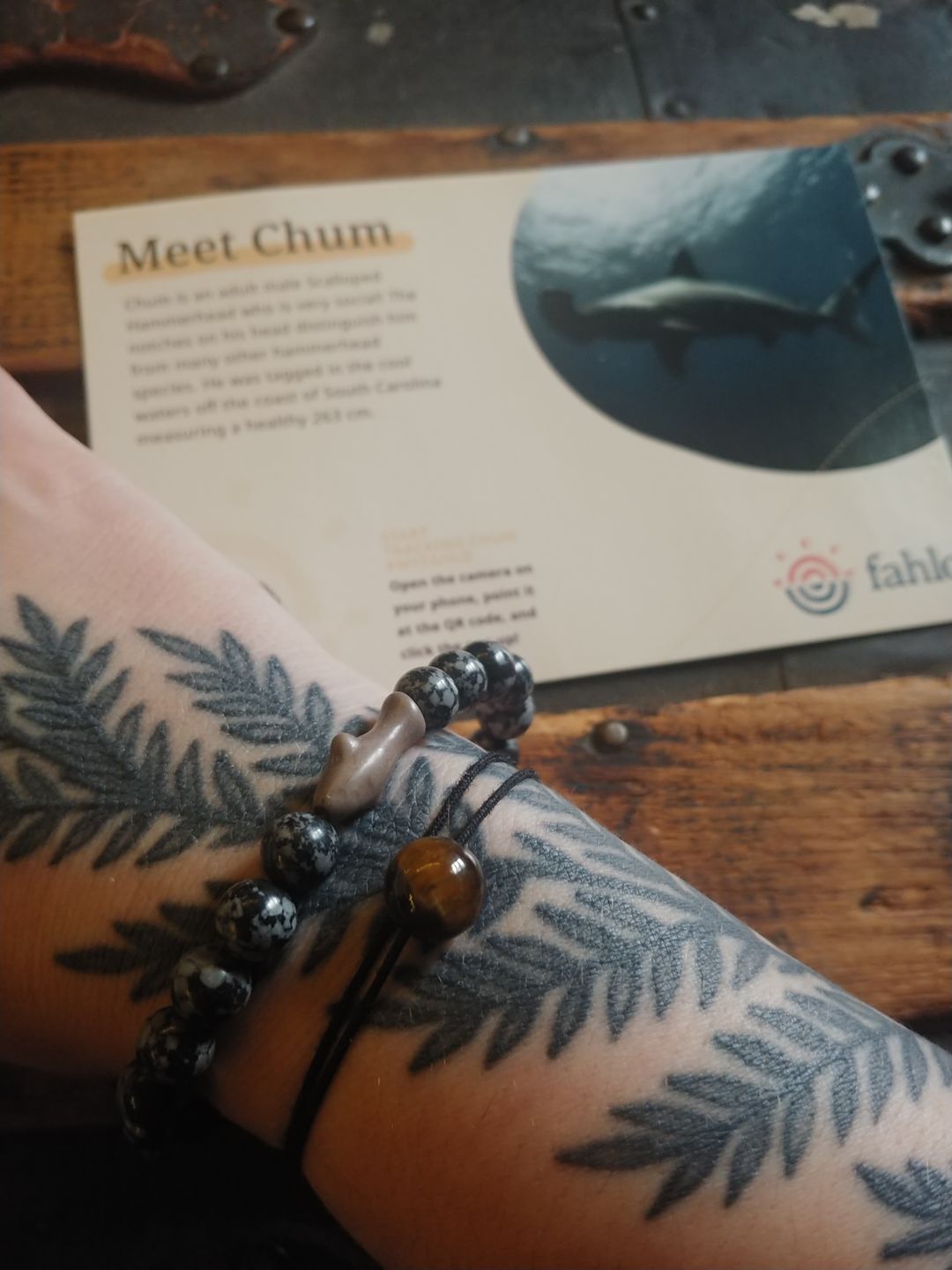 Customer photo review of The Voyage Bracelet