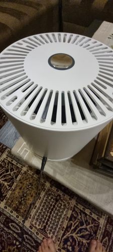 Customer photo review of Air Purifier For Home True HEPA Filters Compact Desktop Purifiers Filtration with Night Light Air Cleaner GL2109