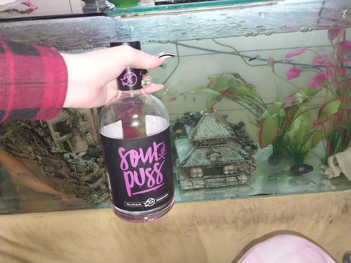 Customer photo review of SOUR PUSS GRAPE