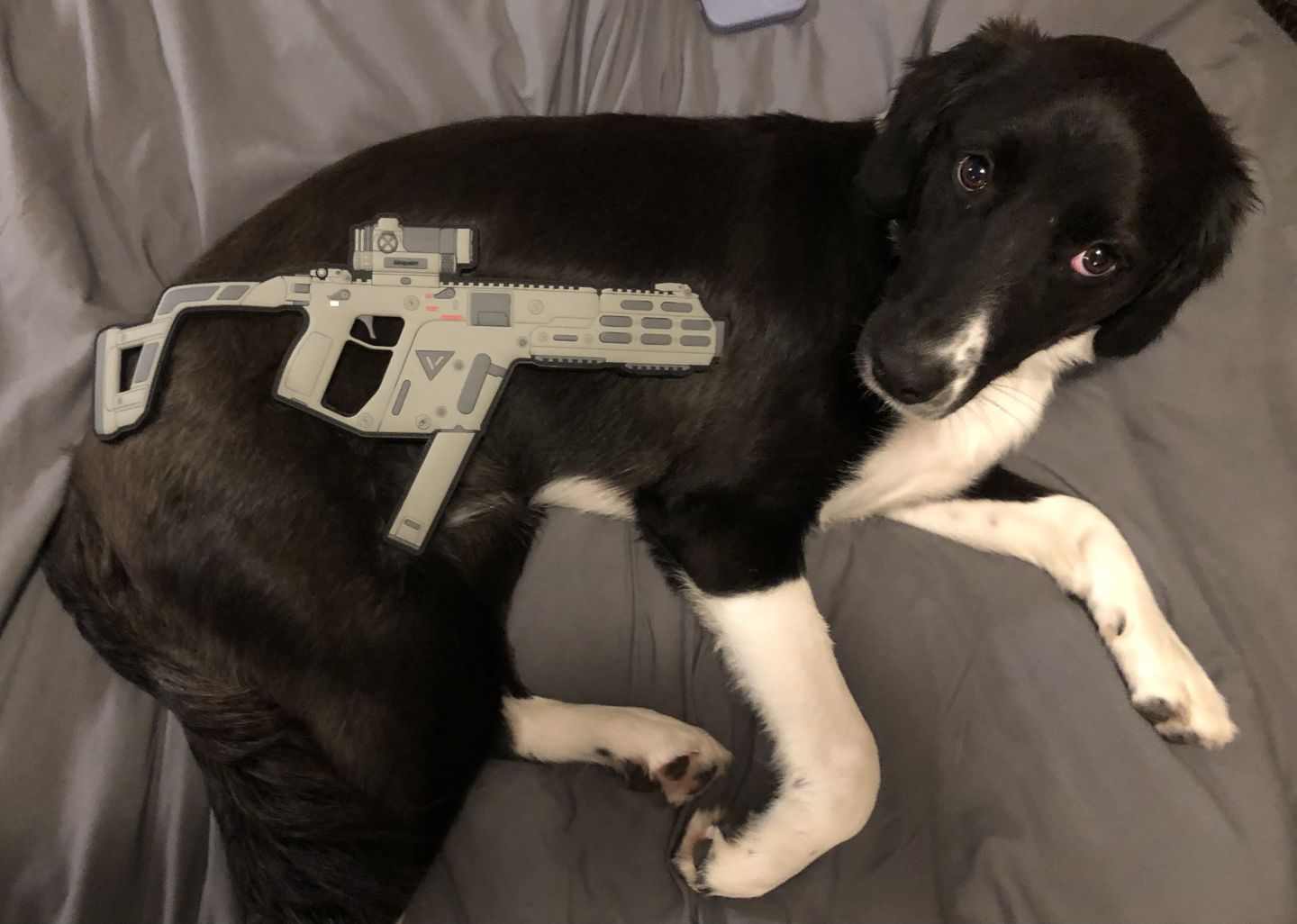 Customer photo review of KRISS Vector Full Size