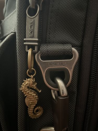 Customer photo review of Shipping Protection