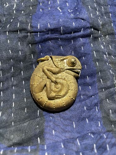 Customer photo review of Brass Chameleon Tape Measure