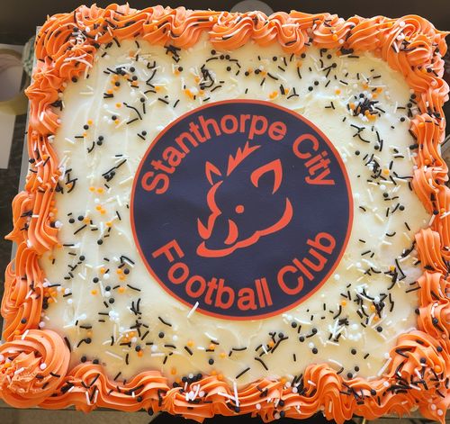 Customer photo review of 20 cm Pre-cut Circle Custom Edible Icing Image