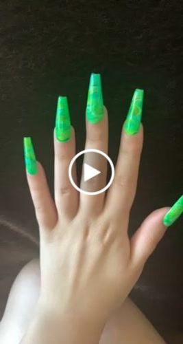 Customer video review of Into The Tropics