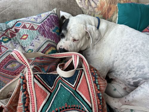 Customer photo review of Copper Tan Evil Eye Embellished Tote