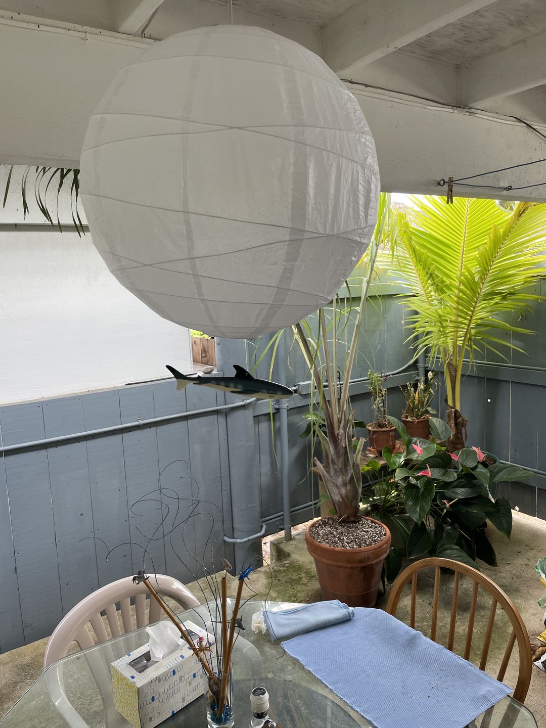 Customer photo review of 20" White Round Paper Lantern, Crisscross Ribbing, Chinese Hanging Wedding & Party Decoration