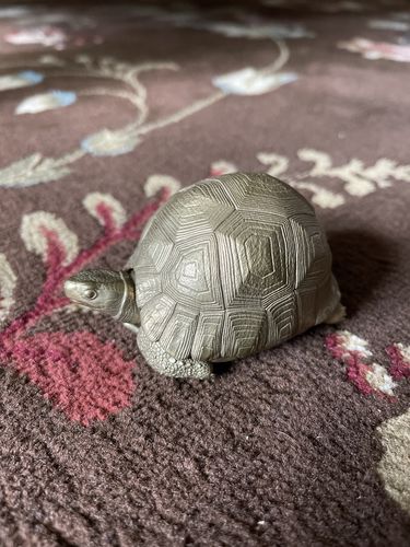 Customer photo review of Bronze Tortoise Box