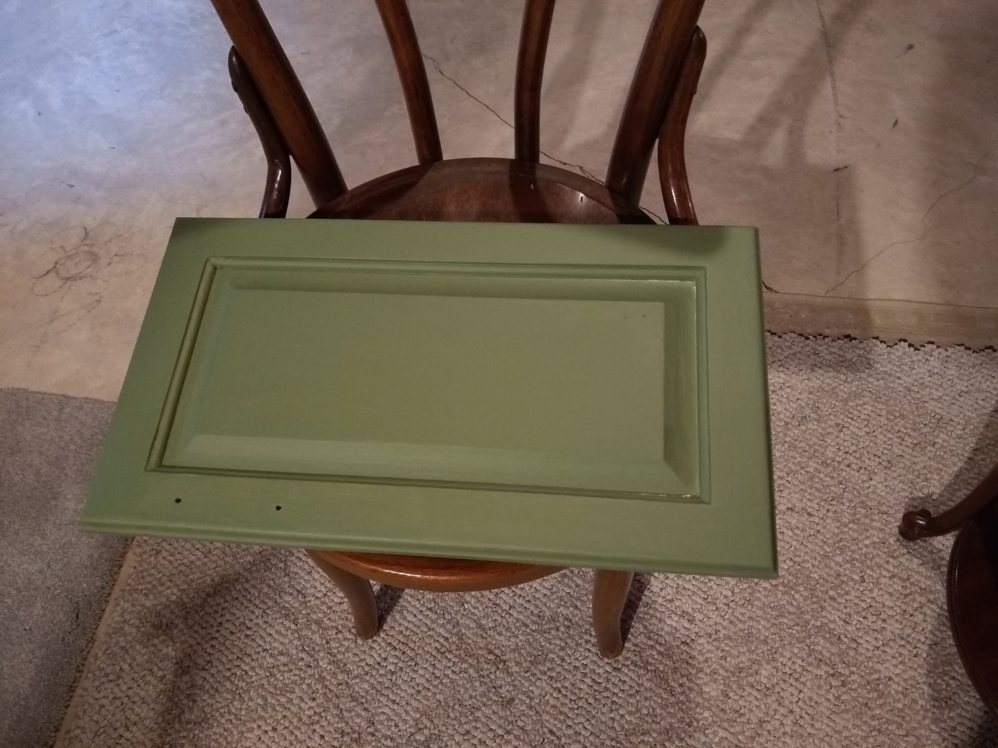 Customer photo review of English Boxwood - One Step Paint