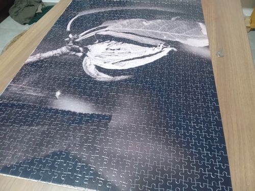 Customer photo review of פאזל בהתאמה אישית