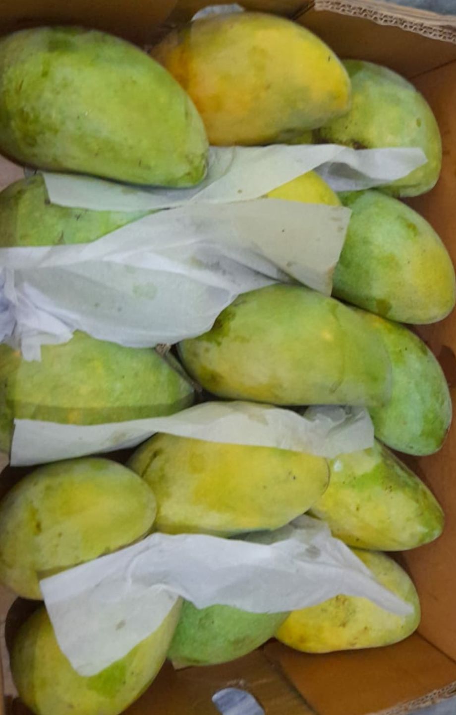 Customer photo review of Multan's Chaunsa Mango
