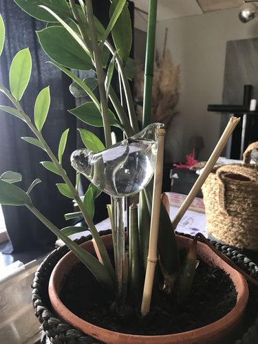 Customer photo review of Mon petit oiseau - Le Jardin de Mamie®