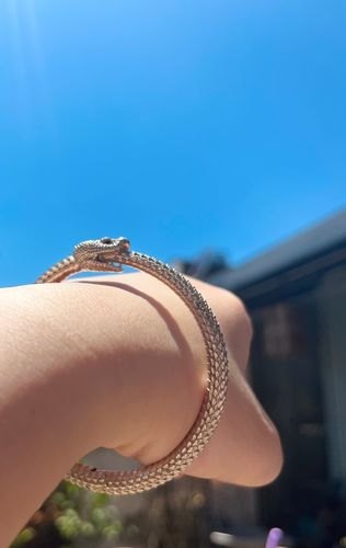 Customer photo review of Silver Snake Bracelet