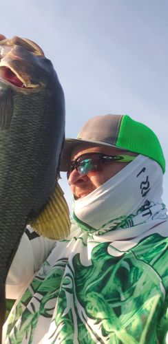 Customer photo review of Awesome Largemouth Bass Fishing green camo Sun / UV protection quick dry customize name long sleeves shirts UPF 30+ - personalized fishing clothing gift for adults and kids - IPH2196