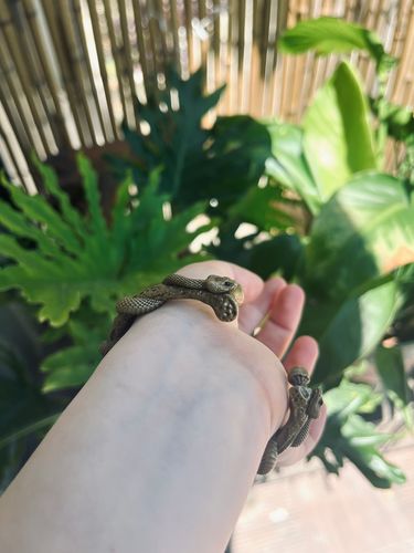 Customer photo review of Brass Double Snake Bracelet