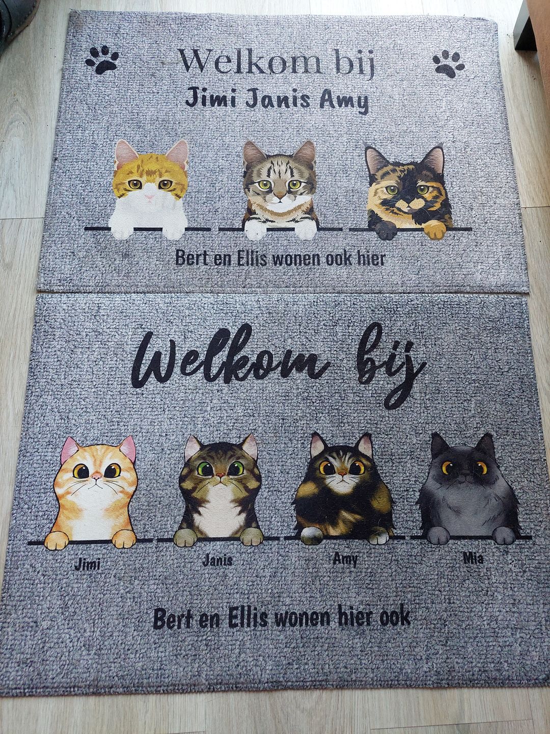 Customer photo review of Welkom bij nieuwsgierige katten - Gepersonaliseerde deurmat