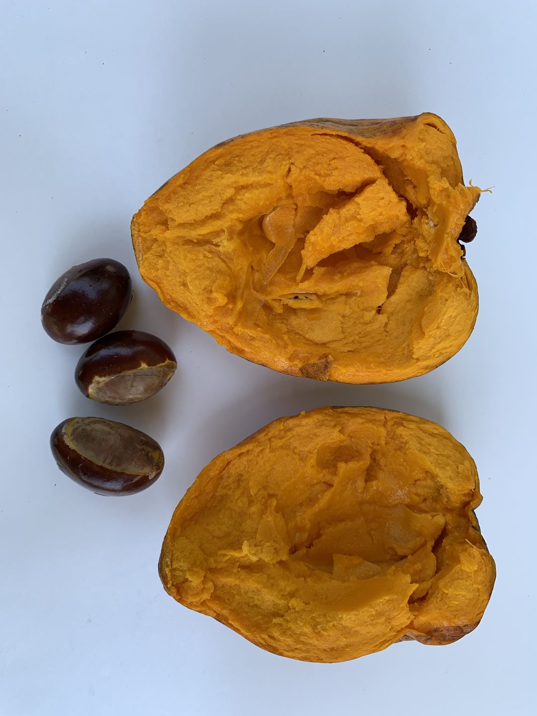 Customer photo review of Eggfruit (Canistel) Box