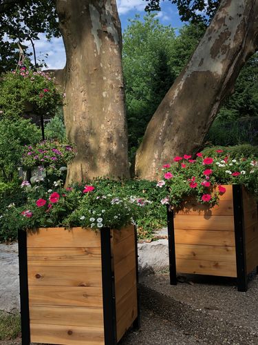 Customer photo review of 18″ x 18″ Planter Box 24" Tall