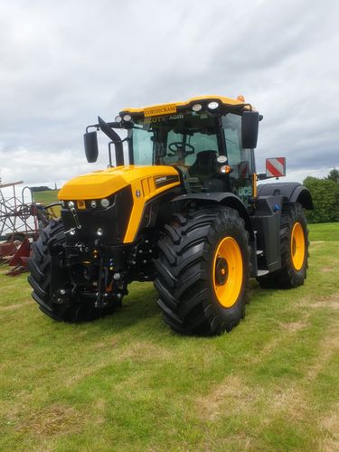 Customer photo review of AM Dress - Multipurpose Dressing - 1 Litre