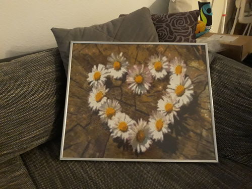 Customer photo review of 5D Diamond Painting Gänseblumen Herz