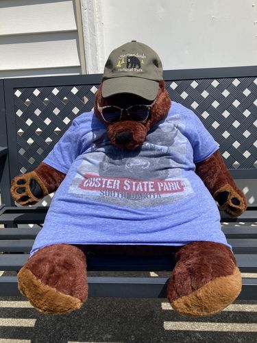 Customer photo review of SKOGGY BEAR